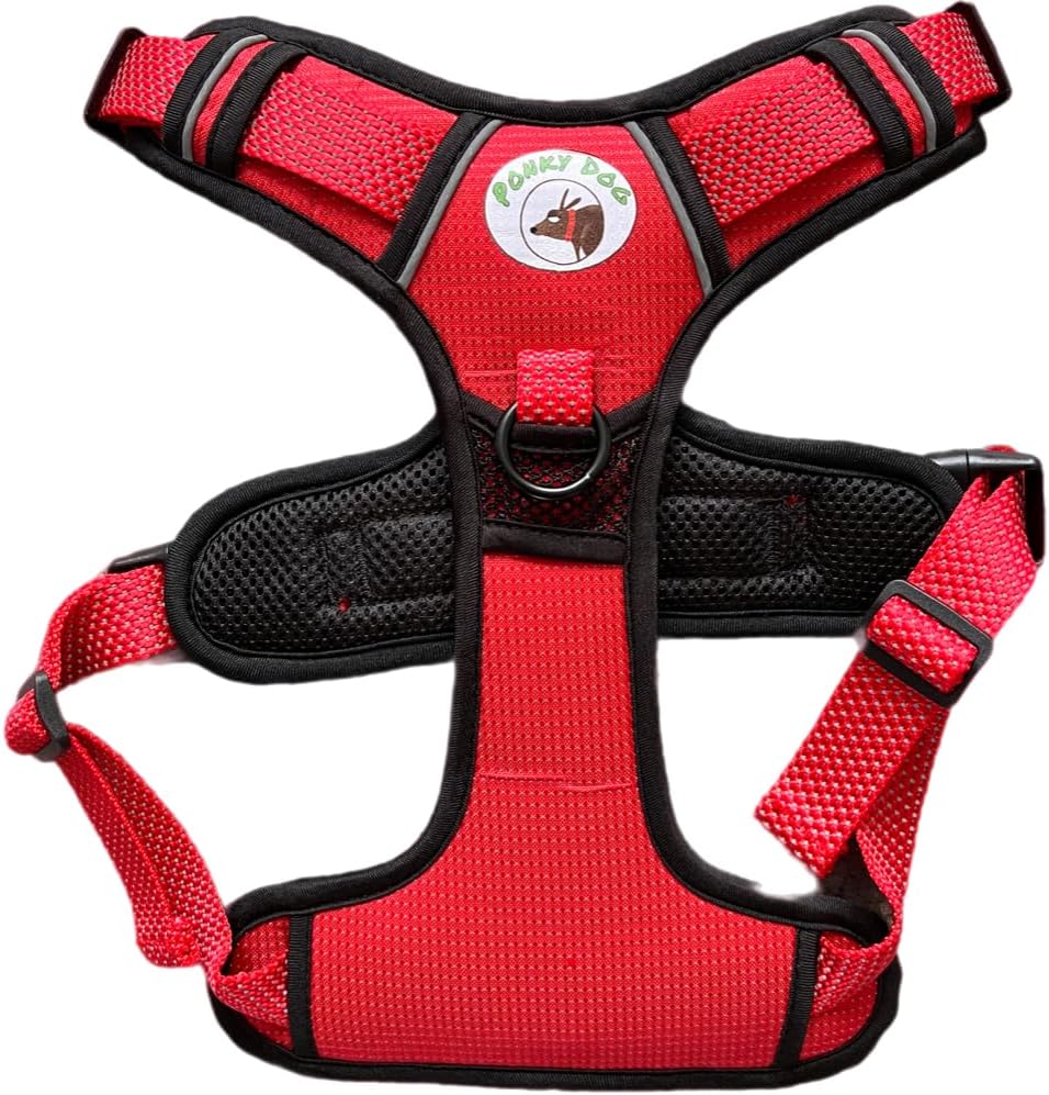Red dog harness with reflective strips. Top view