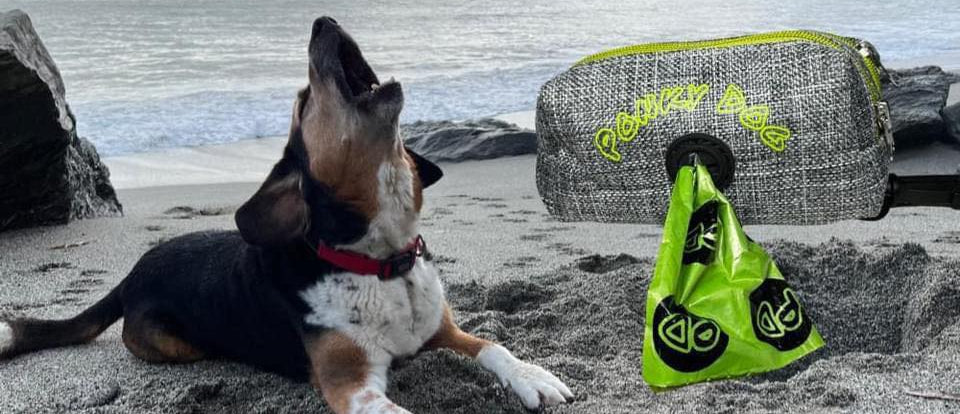 Dog Poo Bags in Dispenser with a happy dog on the beach