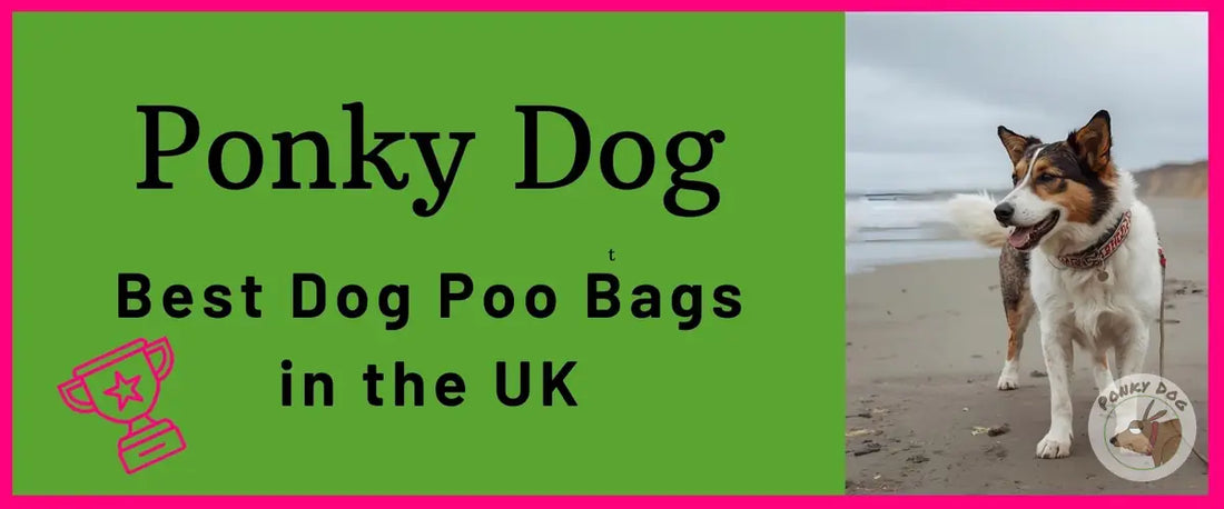 Best dog poo bags UK - Ponky Dog biodegradable waste bags hero image with subtle transparent logo