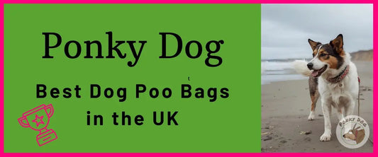 Best dog poo bags UK - Ponky Dog biodegradable waste bags hero image with subtle transparent logo
