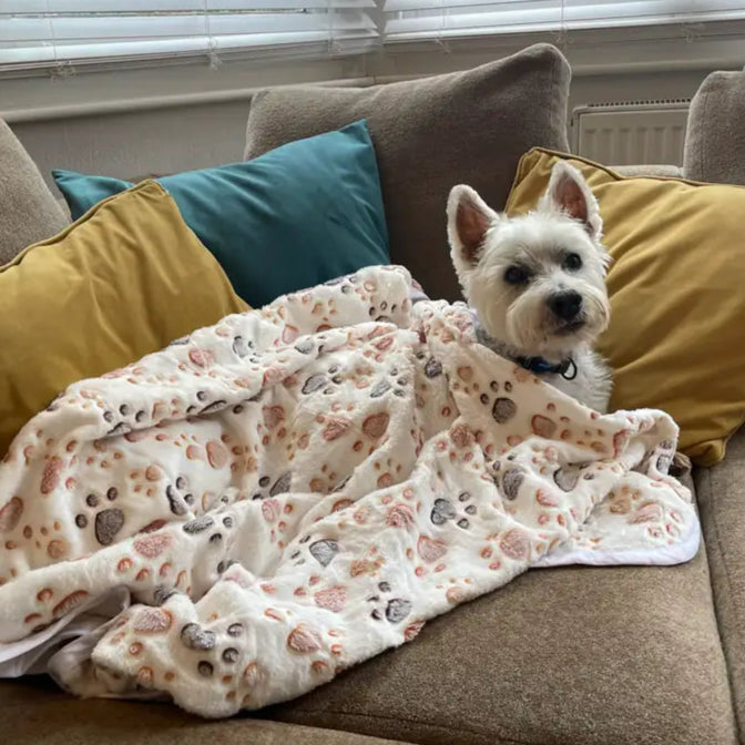 Small white dog on sofa wrapped in Ponky.dog fleece paw print blanket – cosy washable dog blanket UK